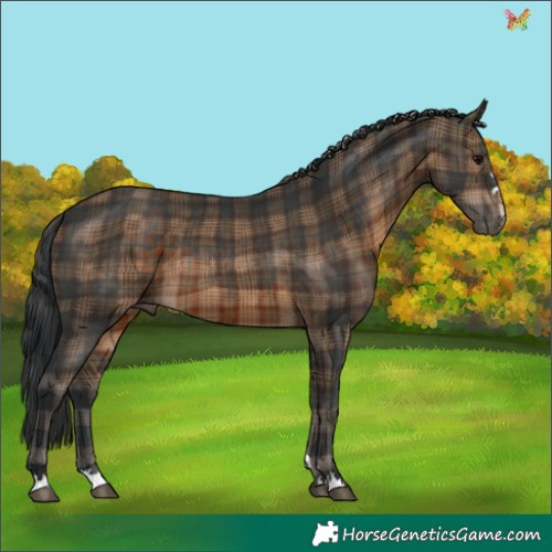 Horse Color:Plaid  Brown 