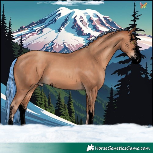 Horse Color:Void Painted Silver Sable Champagne Sabino 