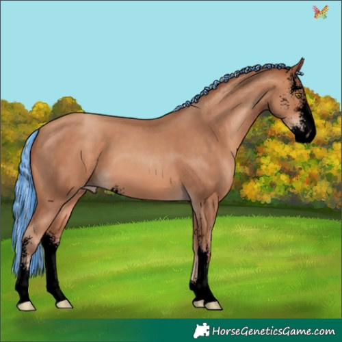 Horse Color:Void Painted Silver Sable Champagne Sabino 