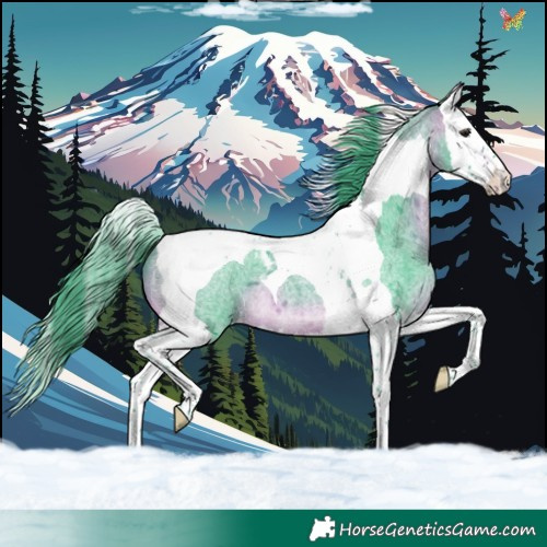Horse Color:Watercolor Bay Roan Splash Tobiano Varnish 