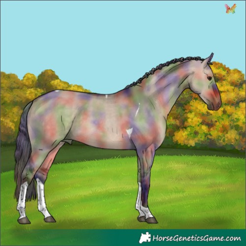 Horse Color:Nacre Bay Dun Tobiano 
