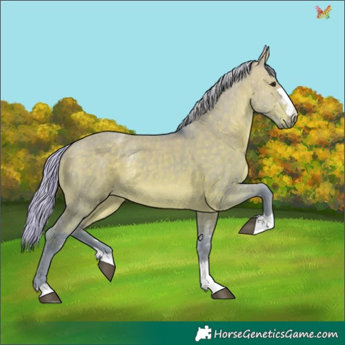 Horse Color:Watercolor Silver Brown Dun 