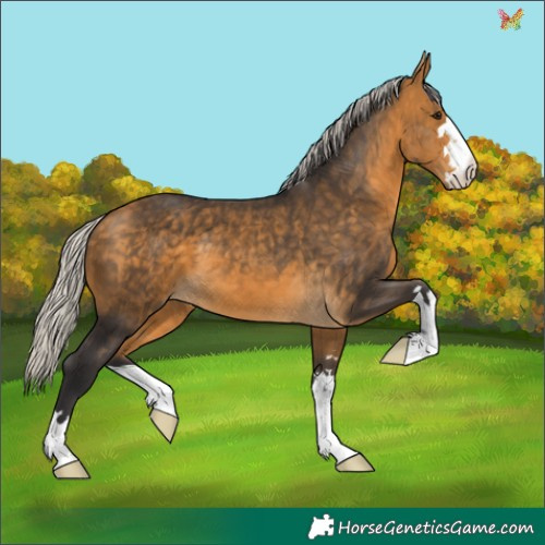 Horse Color:Silver Buckskin 
