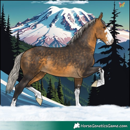 Horse Color:Silver Buckskin 