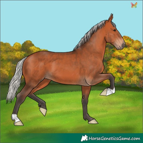Horse Color:Silver Brown 