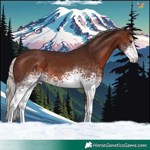 Horse Color:White Spotted Silver Brown 