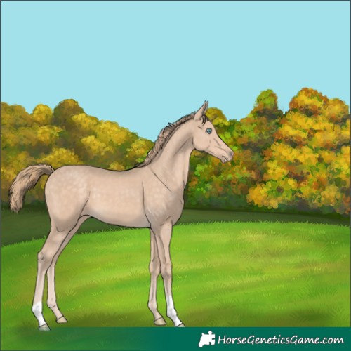 Horse Color:Perlino 