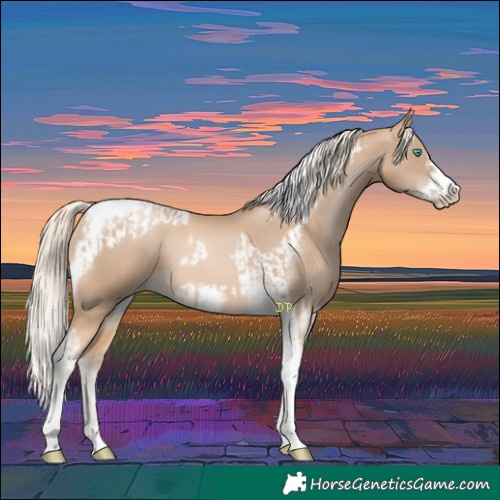Horse Color:Chocolate Palomino Pearl Tobiano Frame and Chocolate Palomino Pearl Tobiano Frame