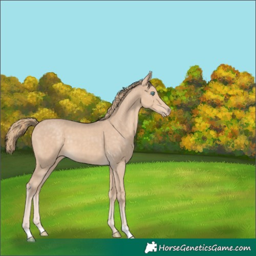 Horse Color:Perlino 
