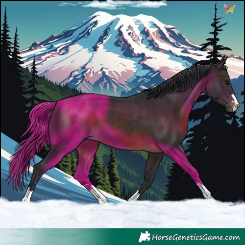 Horse Color:Brown 