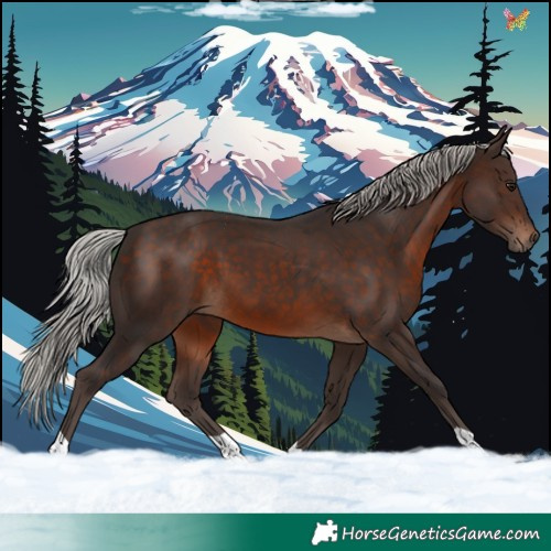 Horse Color:Silver Brown 