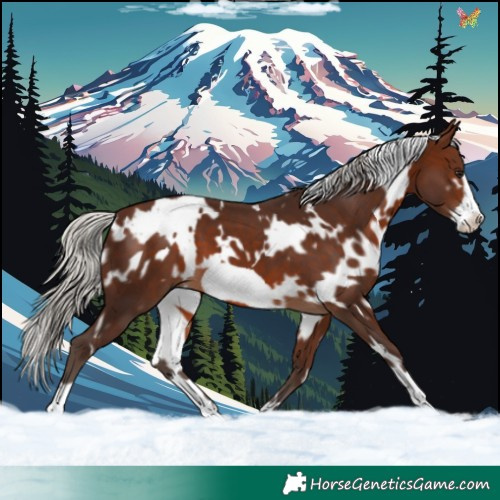 Horse Color:White Spotted Silver Brown Frame 