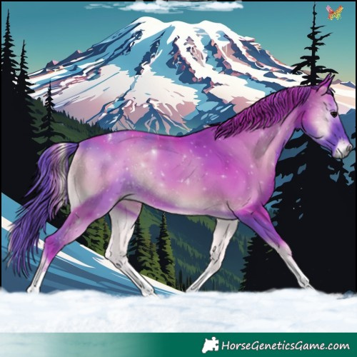 Horse Color:Watercolor Blue Onyx Tobiano Rabicano 