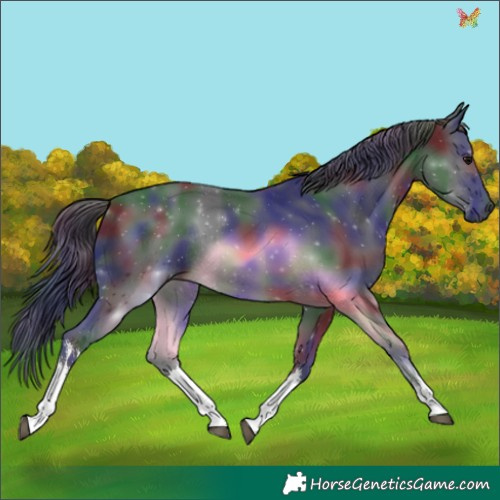 Horse Color:Nacre White Spotted Black Rabicano 