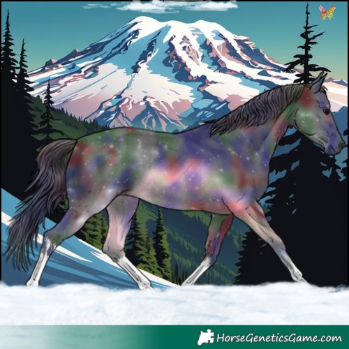 Horse Color:Nacre White Spotted Black Rabicano 
