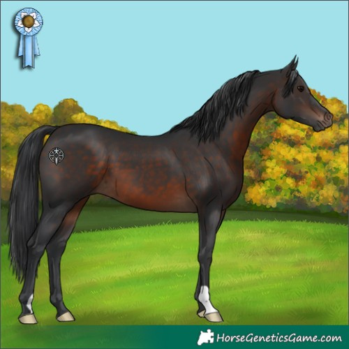 Horse Color:Brown 
