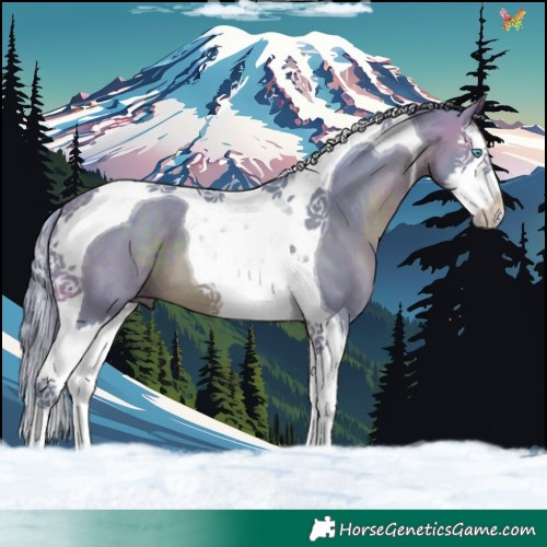 Horse Color:Watercolor Brown Splash Tobiano 