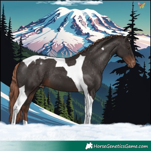 Horse Color:Liver Chestnut Tobiano Varnish 