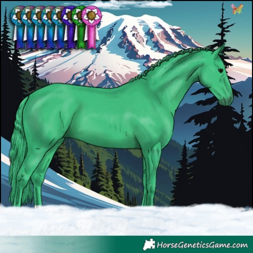 Horse Color:Watercolor Black 