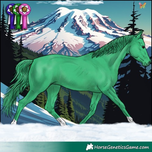 Horse Color:Watercolor Black 