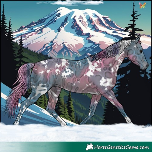 Horse Color:Watercolor White Spotted Brown Ice 