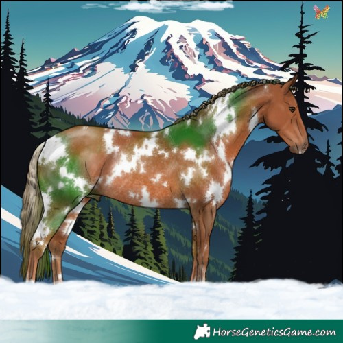 Horse Color:White Spotted Chestnut Rabicano 