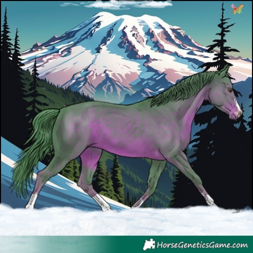 Horse Color:Watercolor Liver Chestnut 