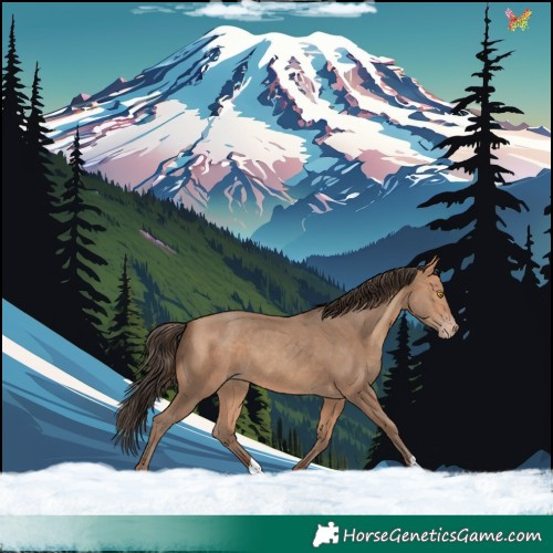 Horse Color:Amber Champagne 