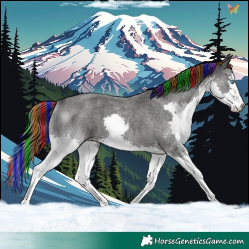 Horse Color:Painted Blue Roan Splash 