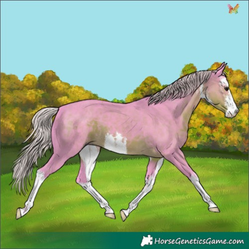Horse Color:Watercolor White Spotted Silver Smoky Black 
