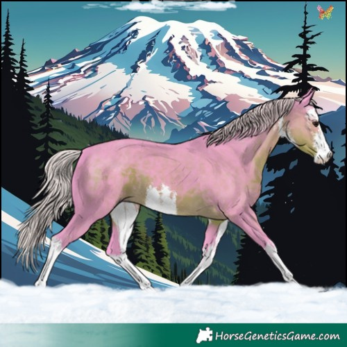 Horse Color:Watercolor White Spotted Silver Smoky Black 