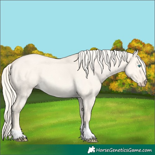 Horse Color:Cremello Dun Tobiano 