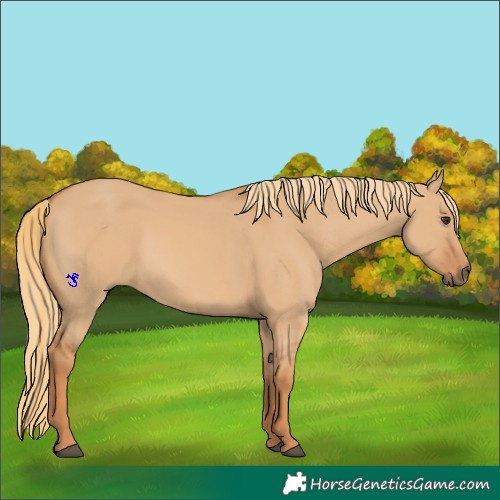 Horse Color:Unknown 