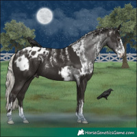 Horse Color:Powder White Liver Chestnut Mushroom Sabino Appaloosa Rabicano  and Powder White Liver Chestnut Mushroom Tobiano Appaloosa Rabicano 