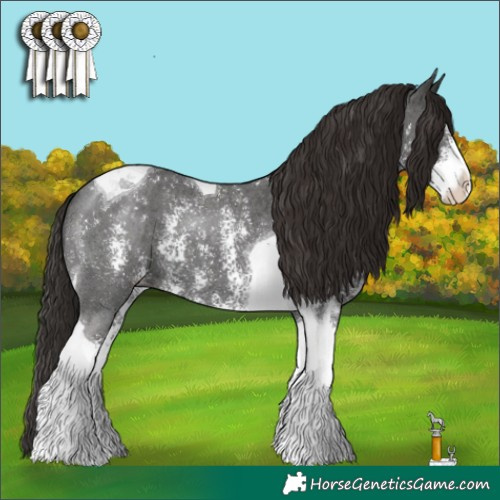 Horse Color:Liver Chestnut Sabino Tobiano 