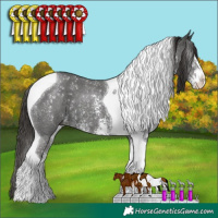 Horse Color:Liver Chestnut Sabino Tobiano 