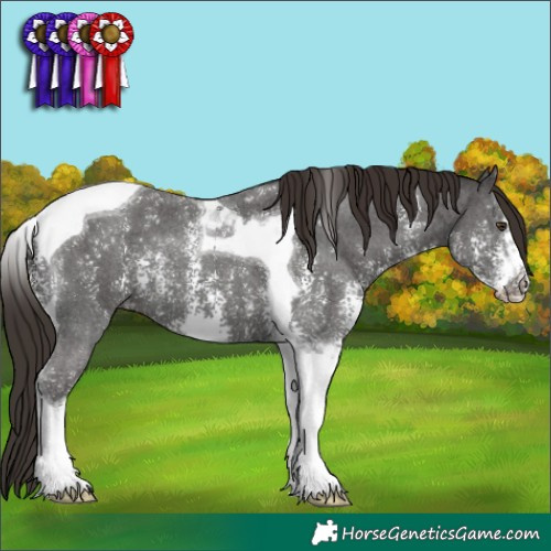 Horse Color:Liver Chestnut Sabino Tobiano 