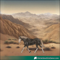 Horse Color:Void Perlino Roan