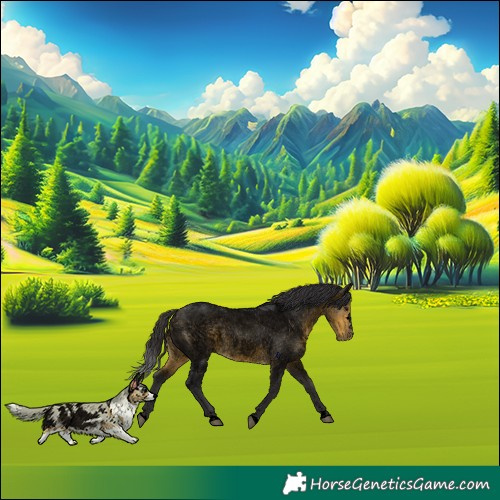 Horse Color:Void Buckskin Roan Rabicano 
