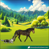 Horse Color:Void Buckskin Roan Rabicano 