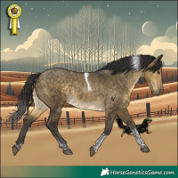 Horse Color:Buckskin Dun Tobiano 