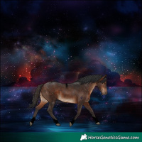 Horse Color:Void Brown Tobiano Rabicano