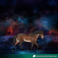 Horse Color:Void Brown Tobiano Rabicano 