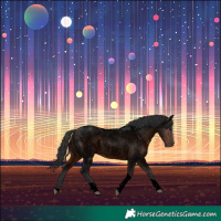 Horse Color:Void Brown Roan Tobiano 