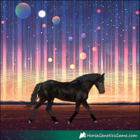 Horse Color:Void Brown Roan Tobiano 