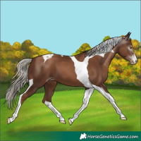 Horse Color:Gray Silver Black Pearl Tobiano 