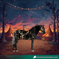 Horse Color:Void Plaid Silver Grullo Chinchilla Tobiano Appaloosa Brindle