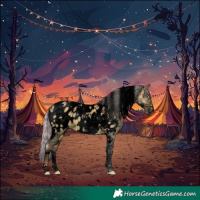 Horse Color:Void Plaid Silver Grullo Chinchilla Tobiano Appaloosa Brindle