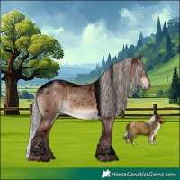 Horse Color:Void Chocolate Silver Brown Dun Tobiano Brindle 