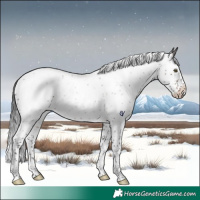 Horse Color:Brown Roan Splash Rabicano 